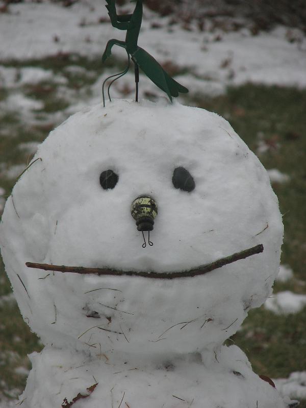 2008-12-07_First_Snow_2nd_set 002.jpg
